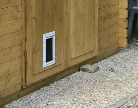 casette per gatti e cani