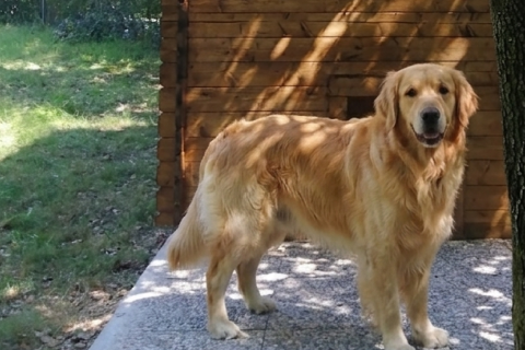 casetta in legno, casetta da giardino, casette italia