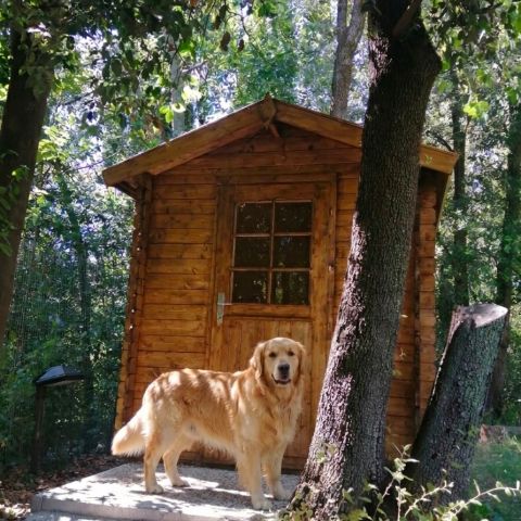 casetta in legno, casetta da giardino, casette italia